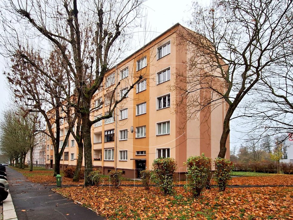 Pronájem bytu 2+1 55 m², Ostrov