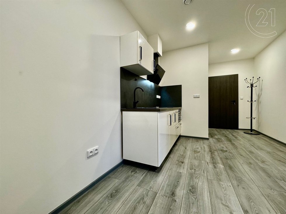 Pronájem bytu 2+1 39 m², Brno