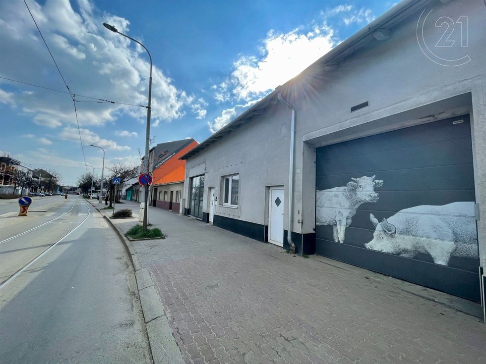 Pronájem bytu 5+kk 250 m², Brno