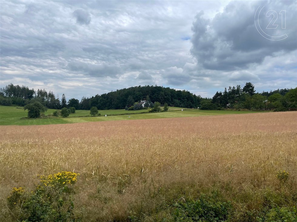 Prodej ostatních pozemků 1 m², Bezdědovice