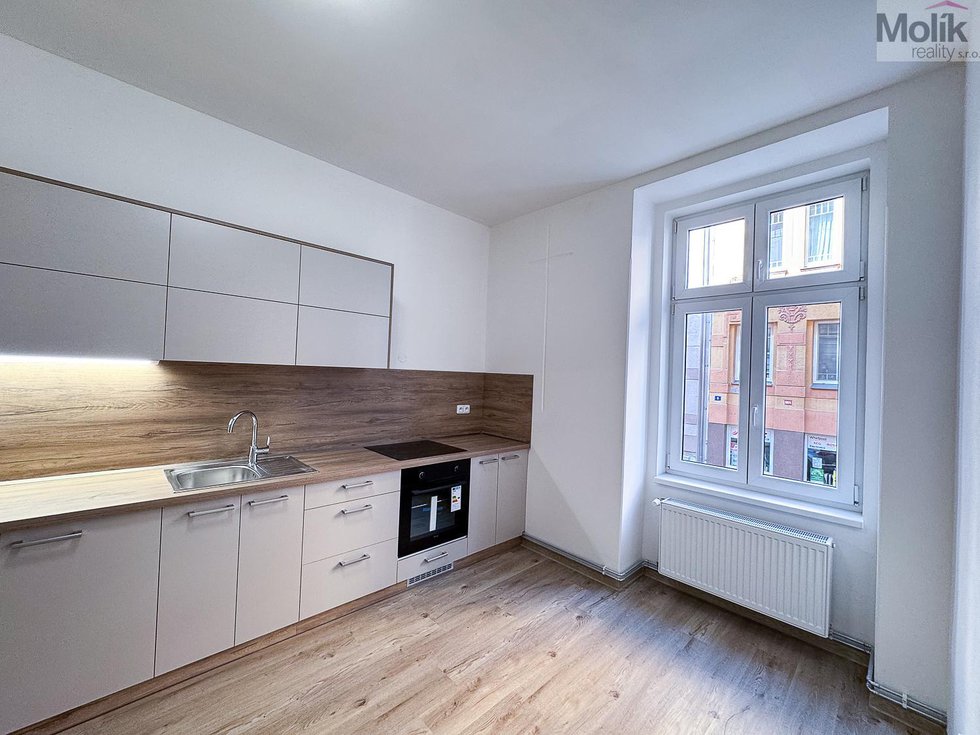 Pronájem bytu 1+1 51 m², Ústí nad Labem