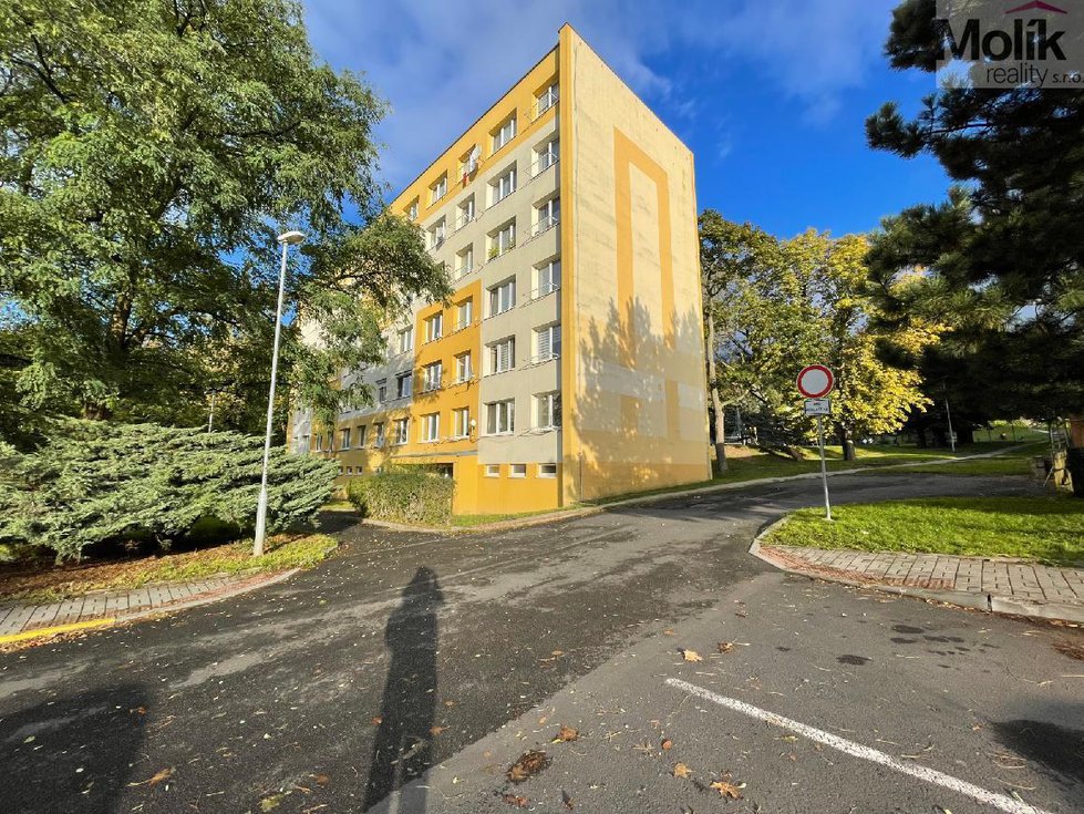 Pronájem bytu 1+kk, garsoniery 27 m², Litvínov