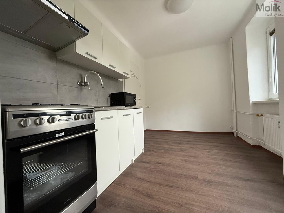 Pronájem bytu 3+1 58 m², Litvínov