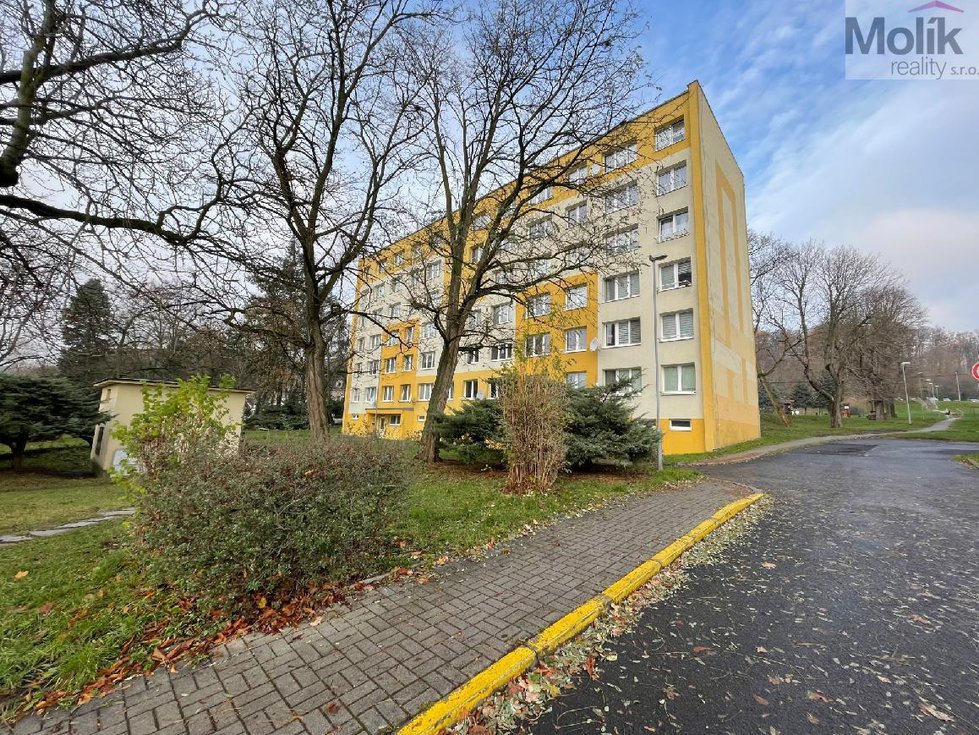 Pronájem bytu 1+kk, garsoniery 27 m², Litvínov