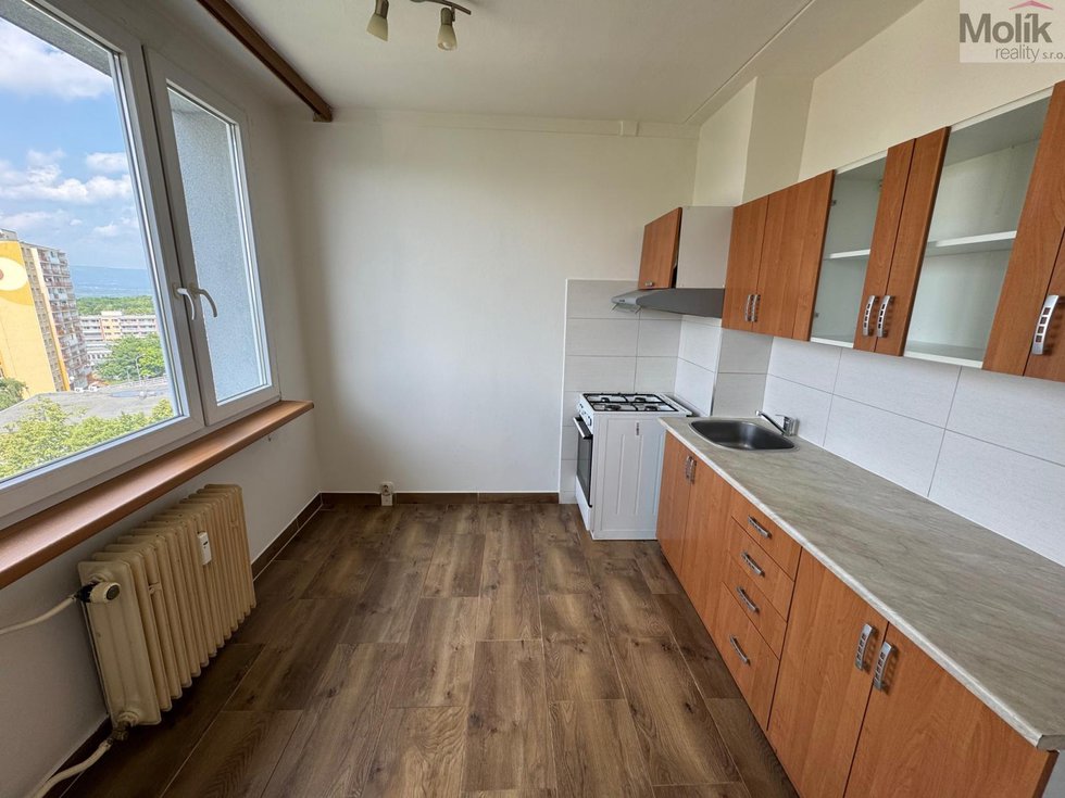 Pronájem bytu 1+1 34 m², Most