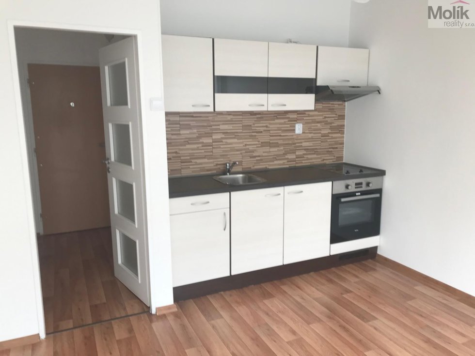 Prodej bytu 1+kk, garsoniery 24 m², Most