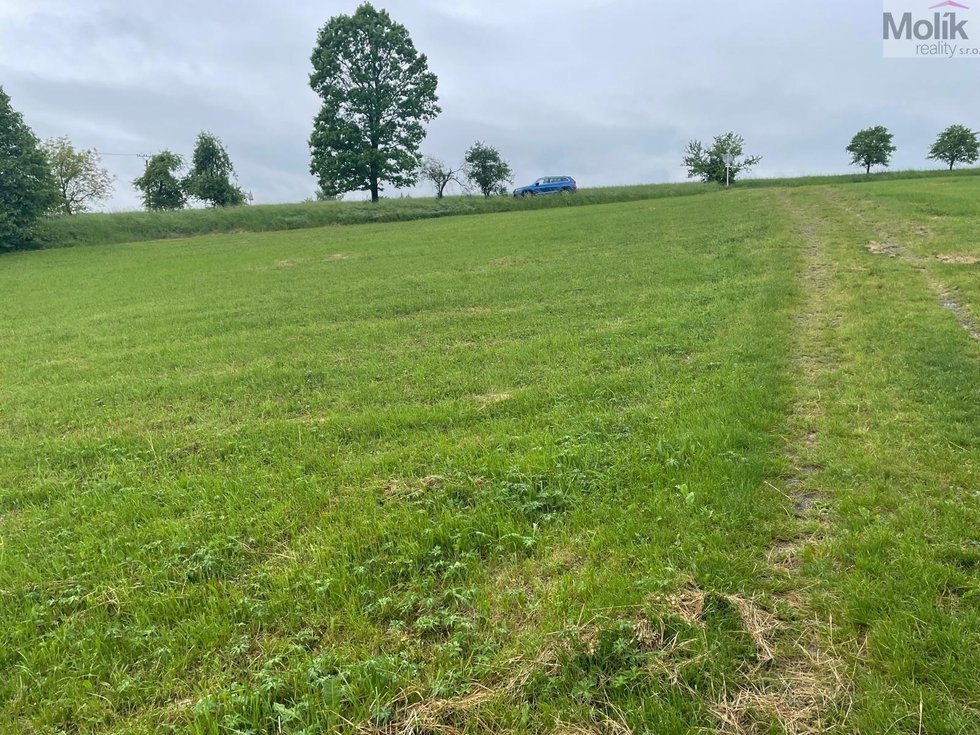 Prodej zemědělské půdy 33045 m², Starý Jičín