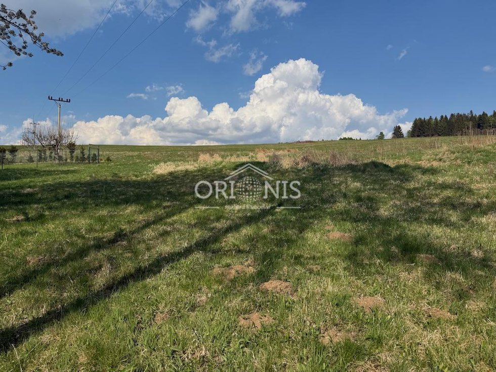 Prodej zemědělské půdy 2524 m², Vejprty