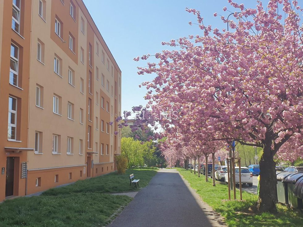 Prodej bytu 2+1 54 m², Most