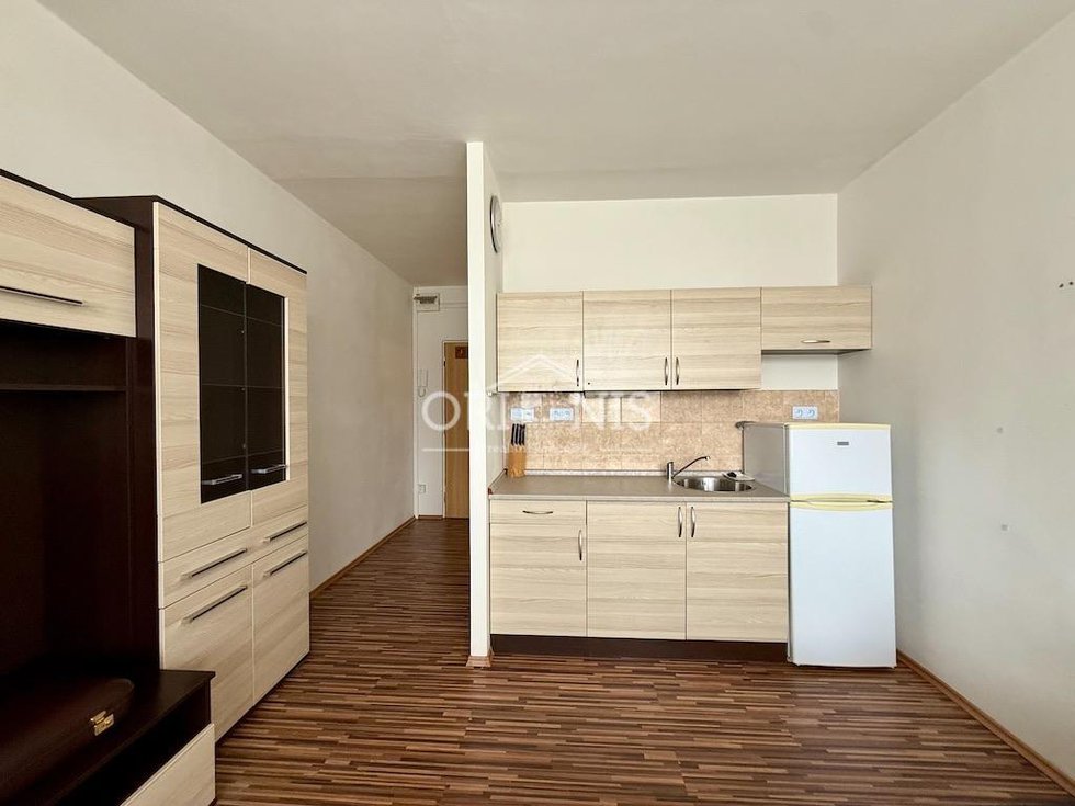 Pronájem bytu 1+kk, garsoniery 20 m², Chomutov