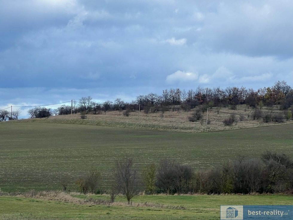 Prodej zemědělské půdy 6021 m², Velvary