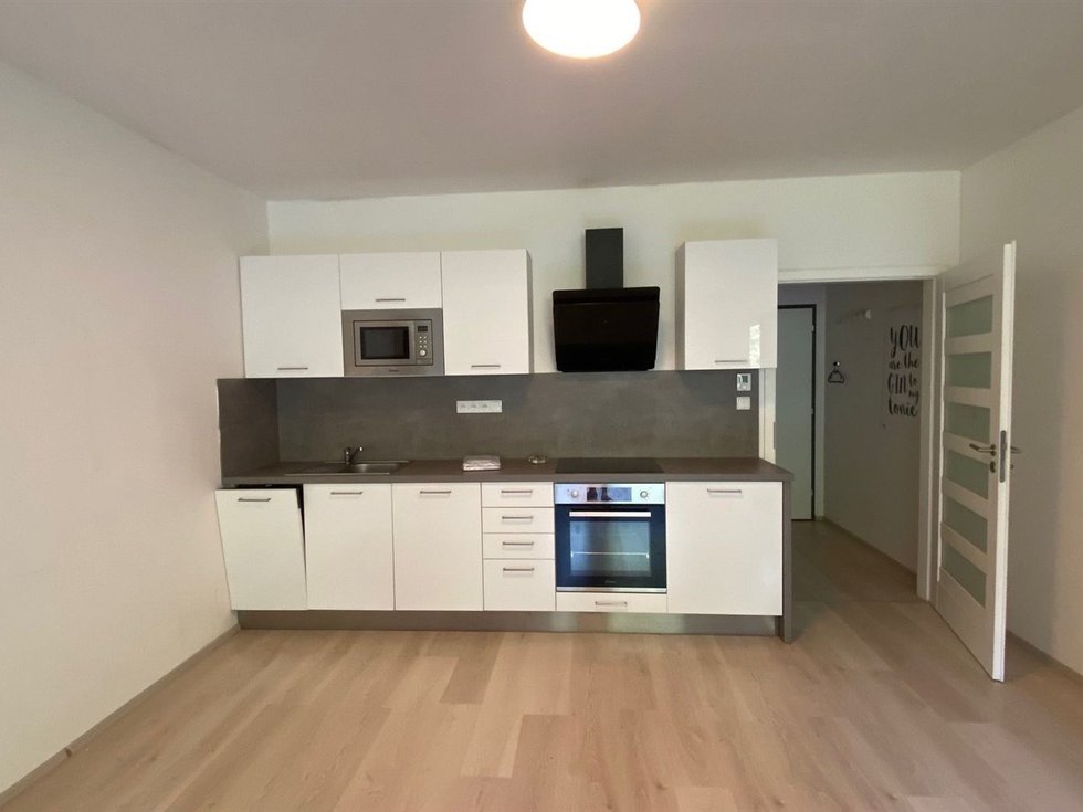 Pronájem bytu 1+kk, garsoniery 36 m², Velké Popovice