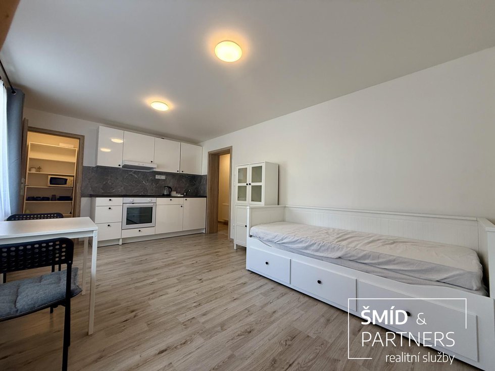 Pronájem bytu 1+kk, garsoniery 25 m², Lošany