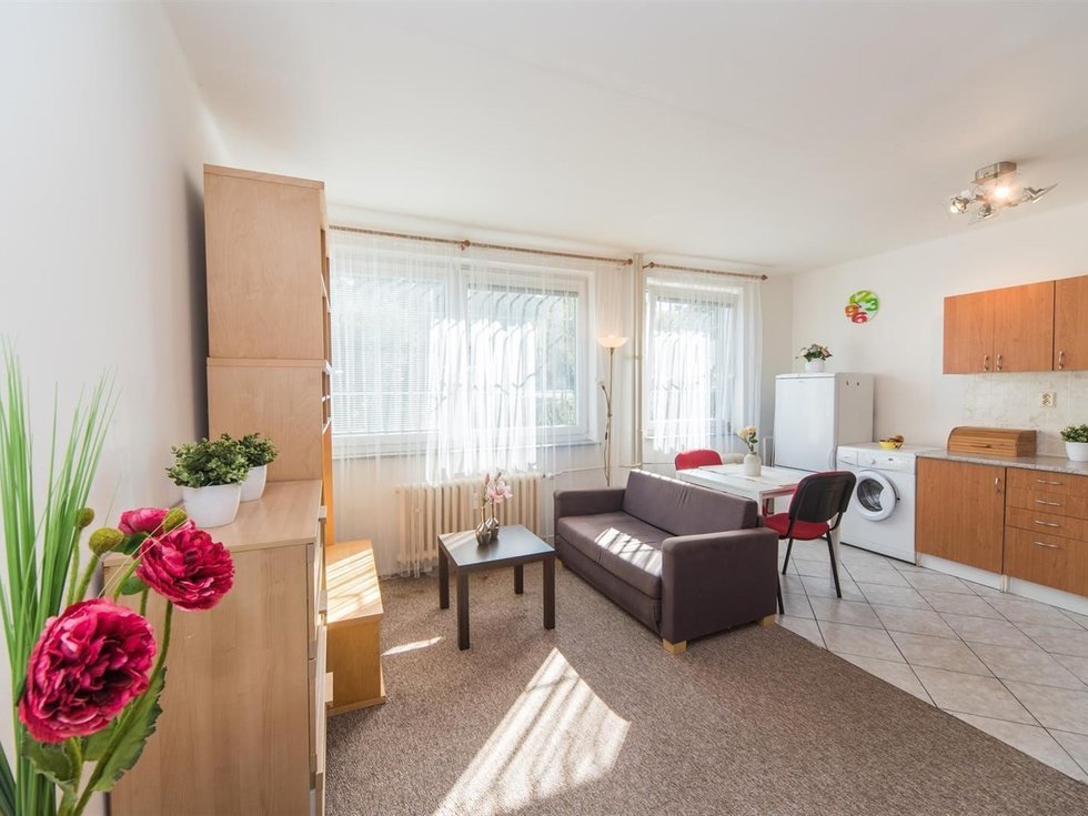 Pronájem bytu 1+kk, garsoniery 30 m², Praha