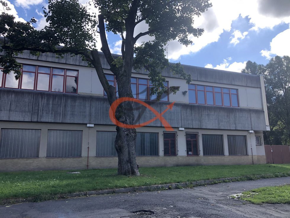 Pronájem Ostatních komerčních prostor 1000 m², Kraslice