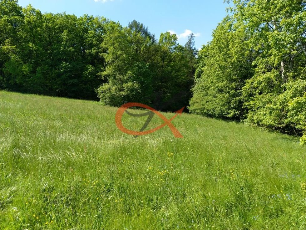 Prodej stavební parcely 9208 m², Háj ve Slezsku