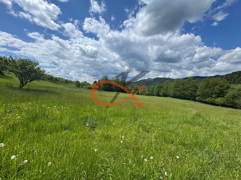 Prodej louky 25140 m², Nový Hrozenkov