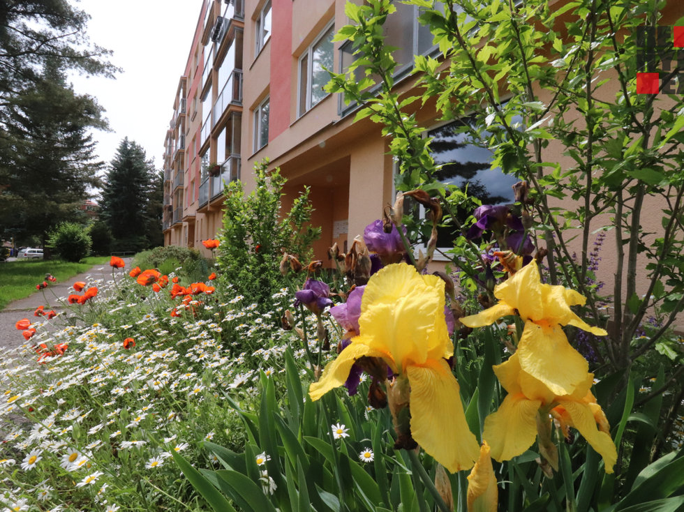 Prodej bytu 4+1 94 m², Stráž pod Ralskem
