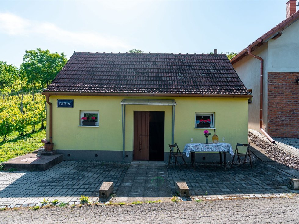 Prodej ostatního 45 m², Velké Bílovice