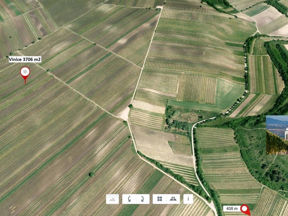 Prodej zemědělské půdy 3706 m², Velké Bílovice