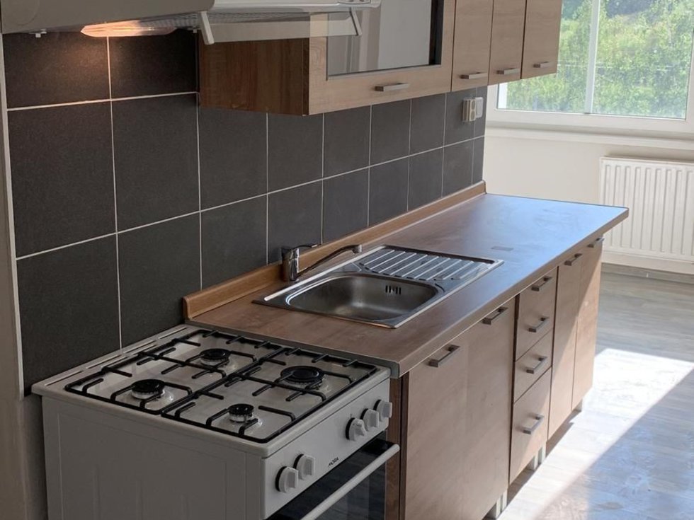 Pronájem bytu 2+1 60 m², Chomutov