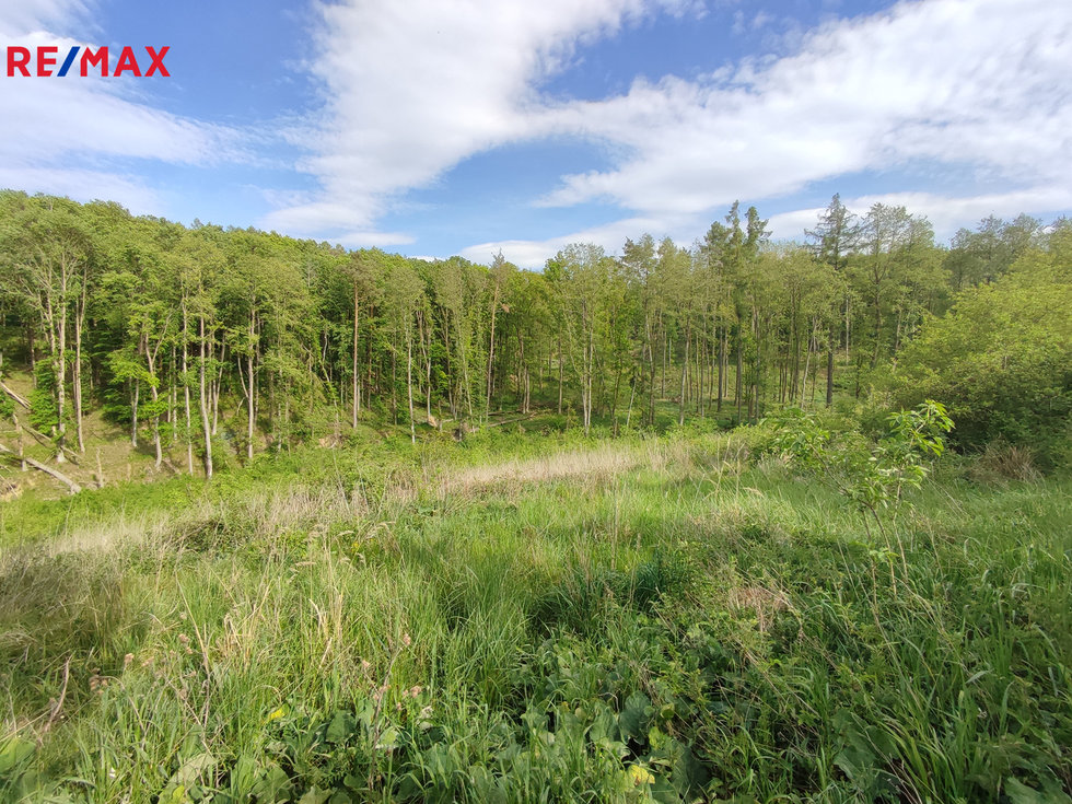 Prodej lesa 17681 m², Vladislav