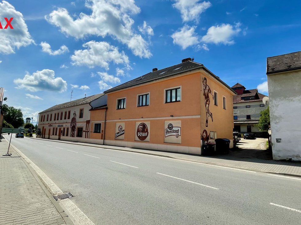 Prodej Ostatních komerčních prostor 1000 m², Horní Cerekev