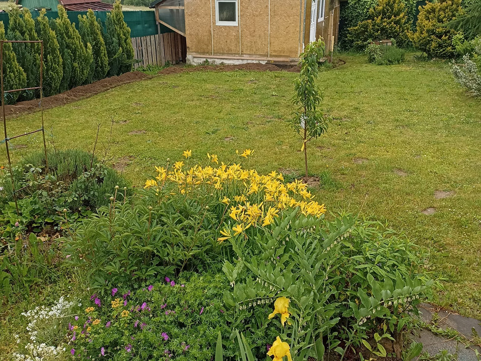 Prodej zahrady 296 m², Pacov