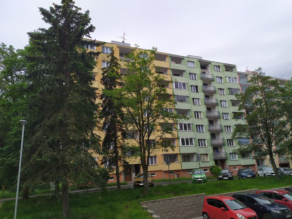 Prodej bytu 1+1 45 m², Sokolov