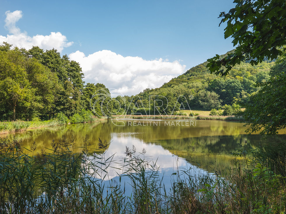 Prodej louky 399465 m², Vojkovice