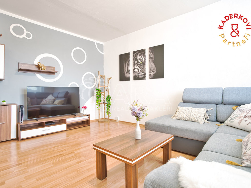 Prodej bytu 2+1 63 m², Velké Opatovice