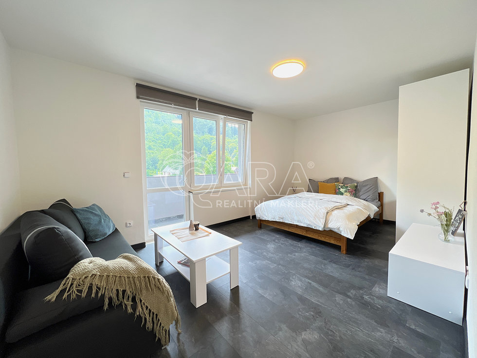 Prodej bytu 1+1 32 m², Město Albrechtice
