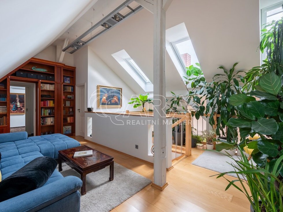 Prodej bytu 5+1 a více 250 m², Praha