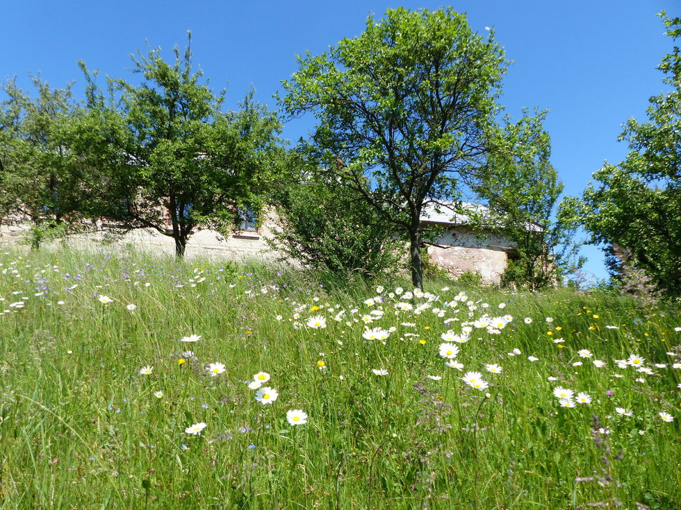 Prodej stavební parcely 300 m², Petrovice