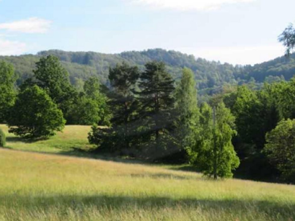 Pozemky 33392 m2, k.ú. Radčice u Krásné Studánky, 01.jpg