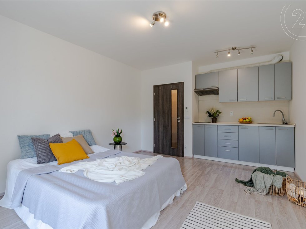 Prodej bytu 1+kk, garsoniery 26 m², Praha