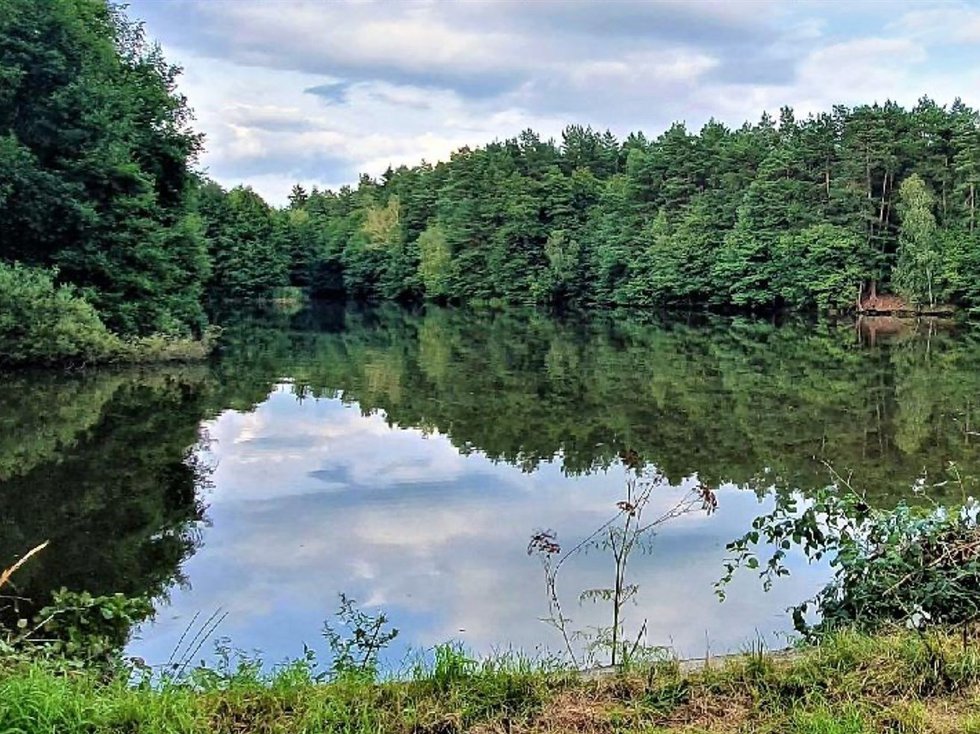 Prodej stavební parcely 190159 m², Ralsko