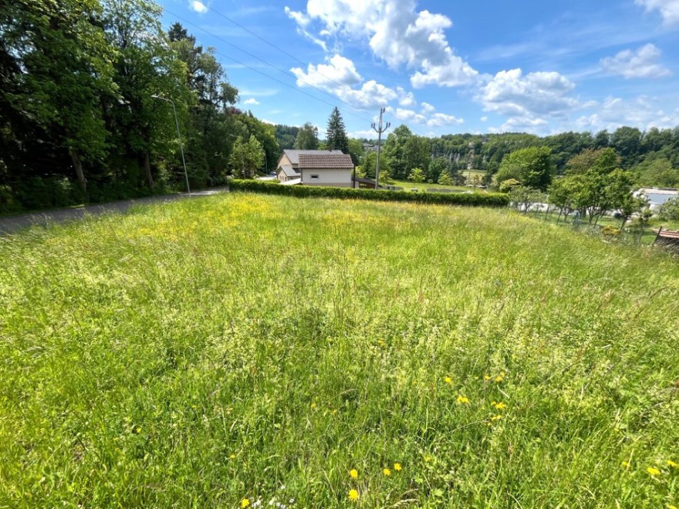 Foto 1.jpg