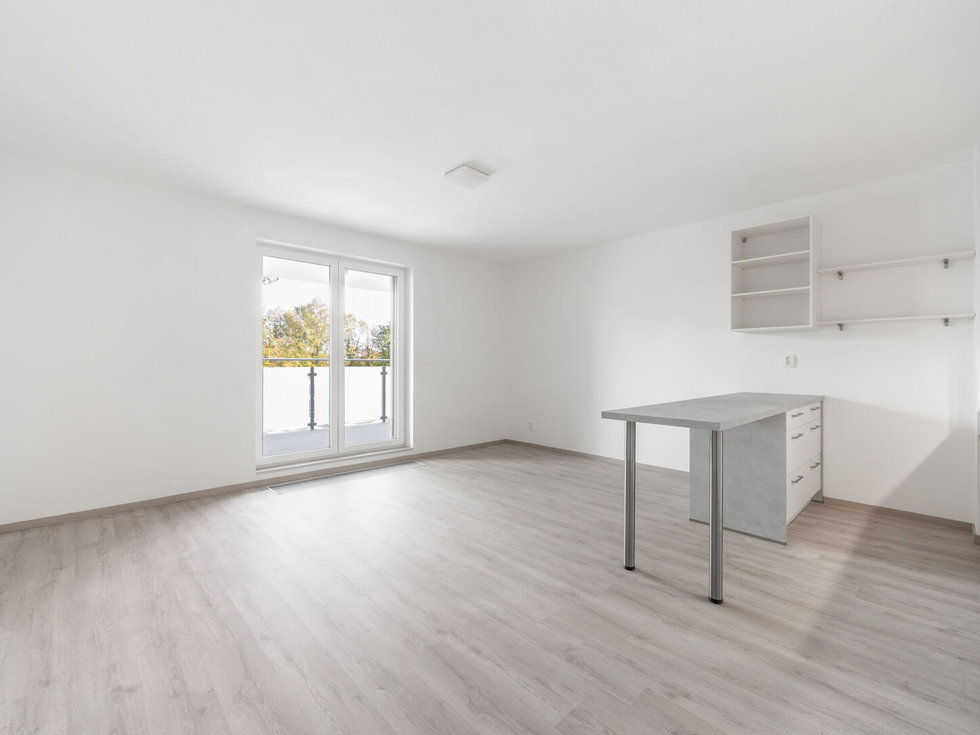 Pronájem bytu 1+kk, garsoniery 40 m², Plzeň