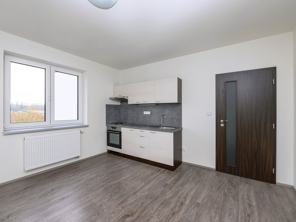 Pronájem bytu 1+kk, garsoniery 22 m², Plzeň