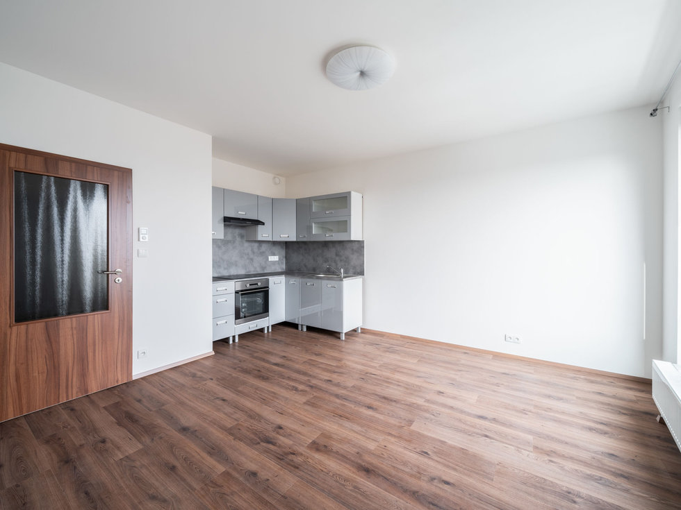 Pronájem bytu 1+kk, garsoniery 29 m², Plzeň