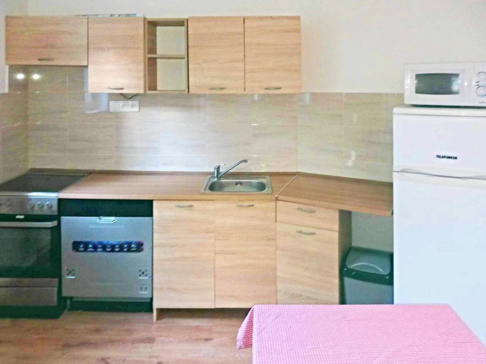 Pronájem bytu 1+1 35 m², Bory