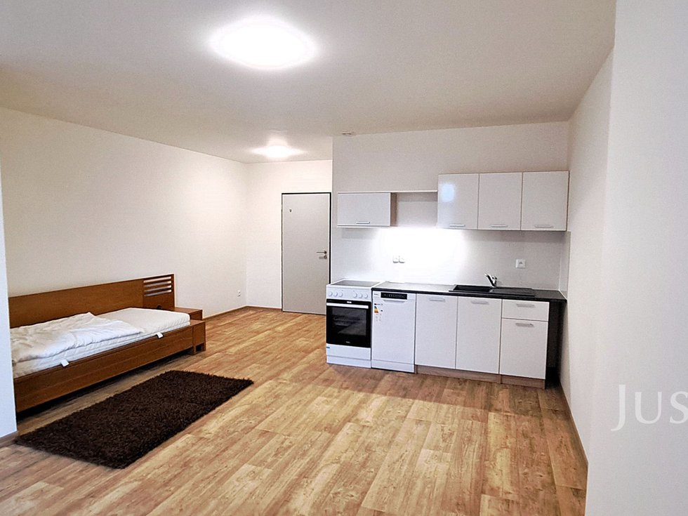 Pronájem bytu 1+kk, garsoniery 29 m², Čížová