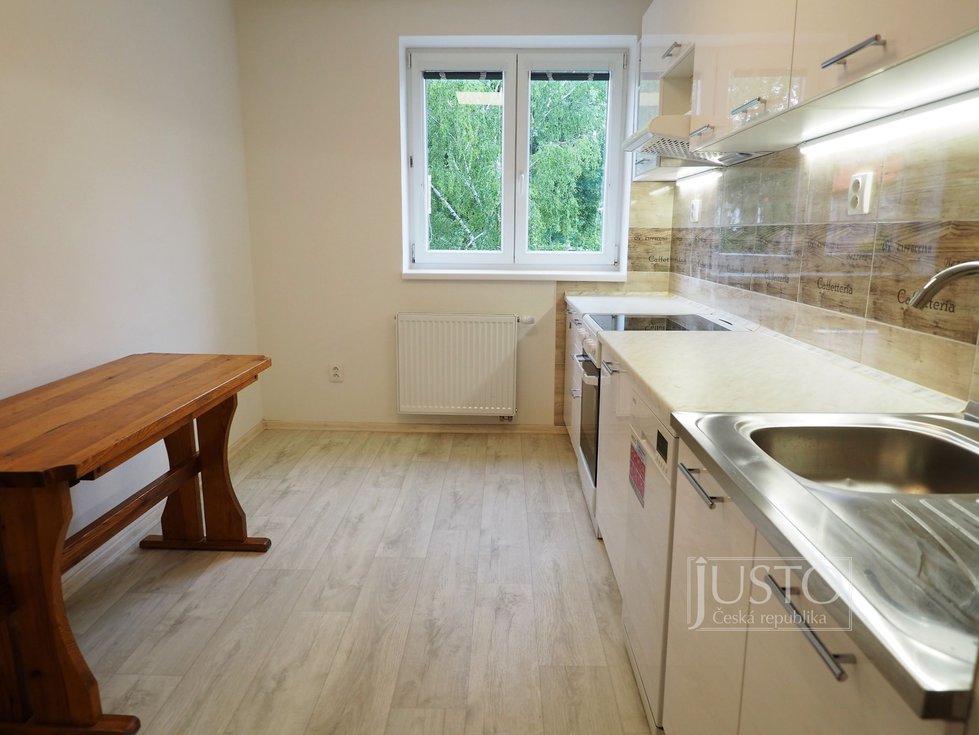 Pronájem bytu 2+1 58 m², Písek