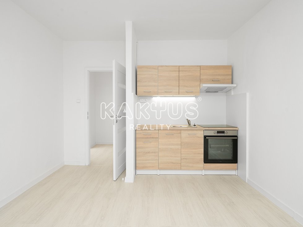 Pronájem bytu 1+1 45 m², Ostrava