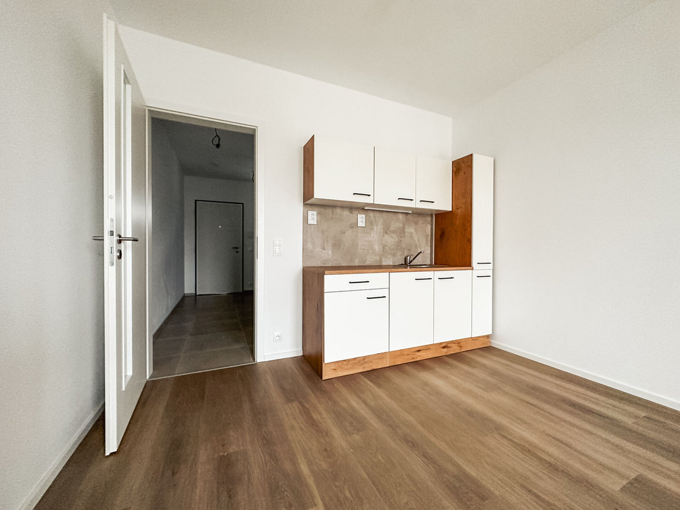 Pronájem bytu 1+kk, garsoniery 32 m², Praha