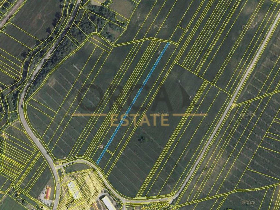 Prodej zemědělské půdy 2602 m², Doubravice nad Svitavou