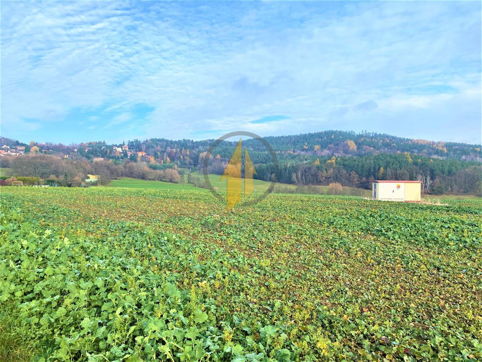 Prodej zemědělské půdy 9316 m², Holín