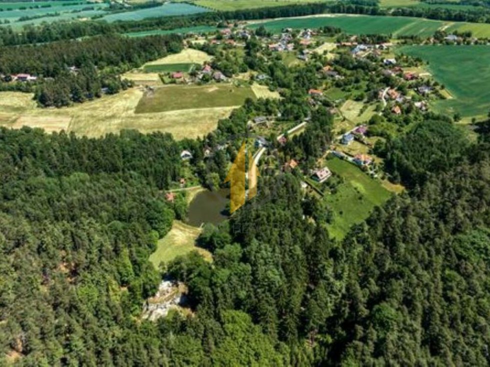 Prodej zemědělské půdy 44293 m², Holín