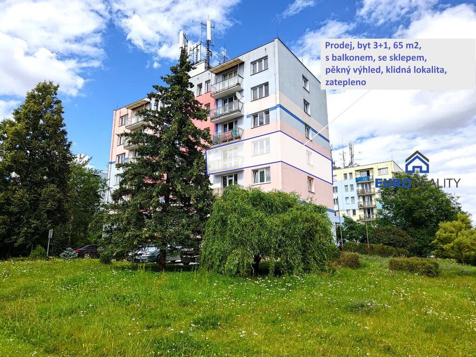 Prodej bytu 3+1 66 m², Strakonice